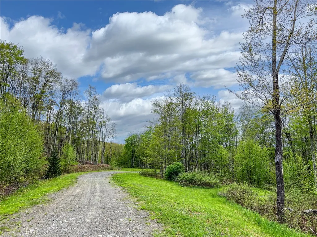 0 State Route 28, Andes, New York 13731, Andes, New York 13731, ,Land,For Sale,0 State Route 28, Andes, New York 13731,0,R1539126