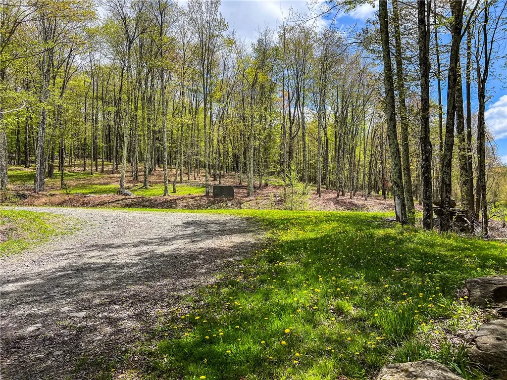 0 State Route 28, Andes, New York 13731, Andes, New York 13731, ,Land,For Sale,0 State Route 28, Andes, New York 13731,0,R1539126