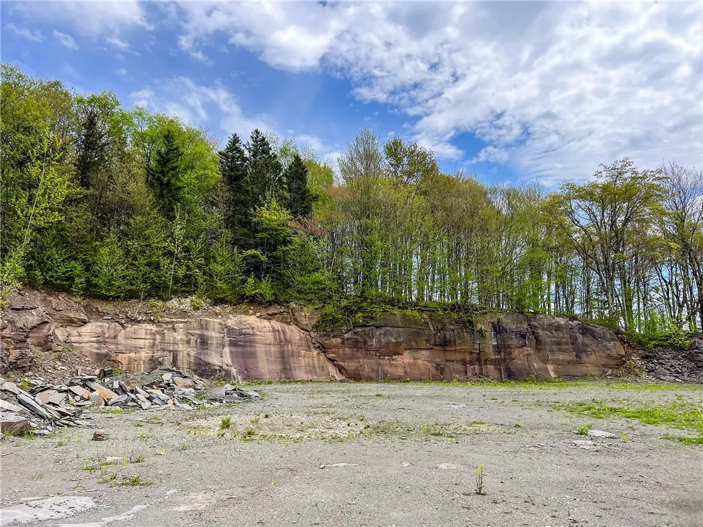 0 State Route 28, Andes, New York 13731, Andes, New York 13731, ,Land,For Sale,0 State Route 28, Andes, New York 13731,0,R1539126