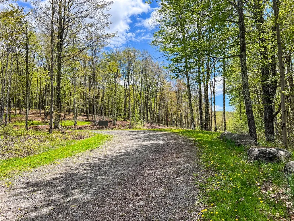 0 State Route 28, Andes, New York 13731, Andes, New York 13731, ,Land,For Sale,0 State Route 28, Andes, New York 13731,0,R1539126