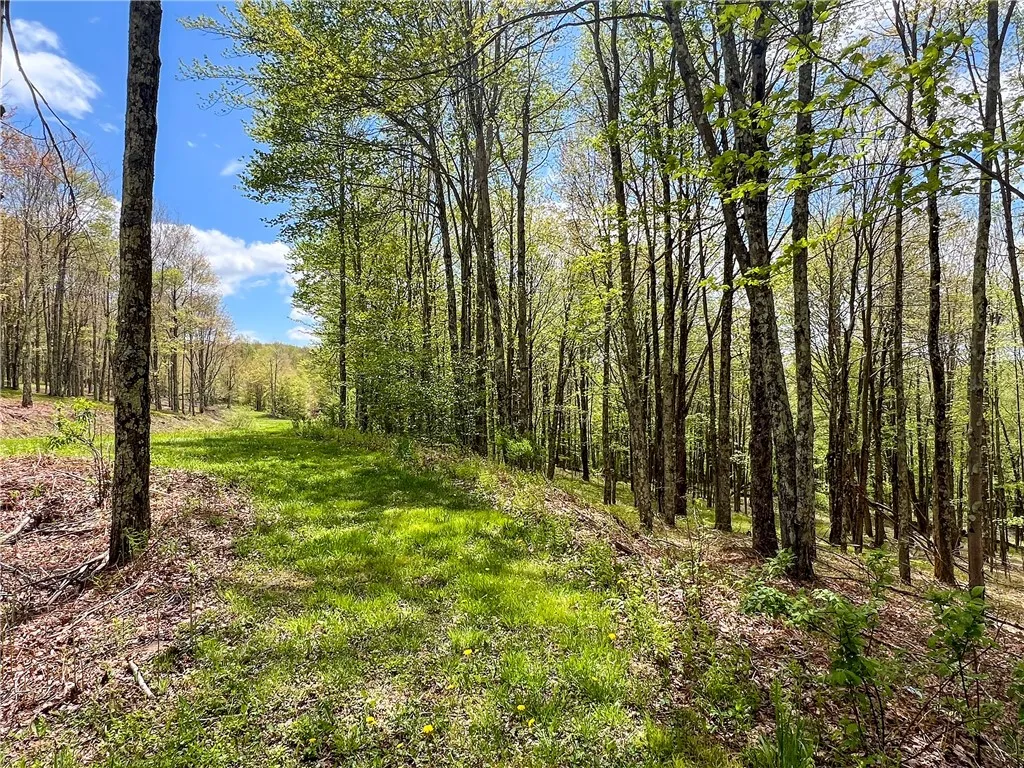 0 State Route 28, Andes, New York 13731, Andes, New York 13731, ,Land,For Sale,0 State Route 28, Andes, New York 13731,0,R1539126