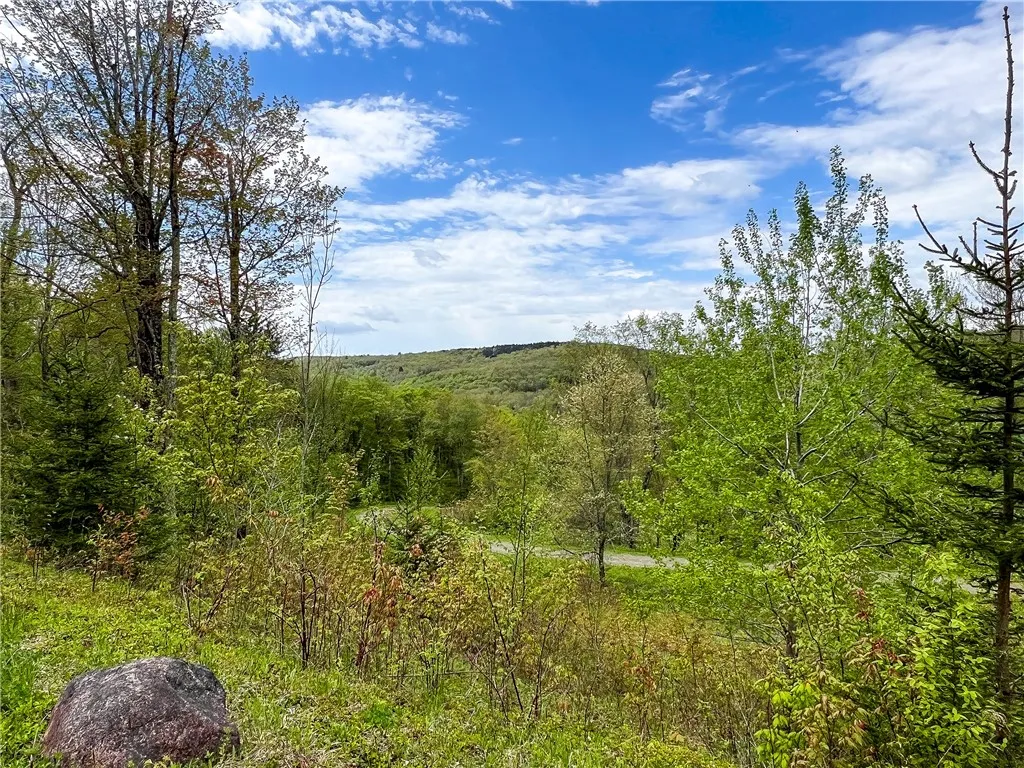 0 State Route 28, Andes, New York 13731, Andes, New York 13731, ,Land,For Sale,0 State Route 28, Andes, New York 13731,0,R1539126