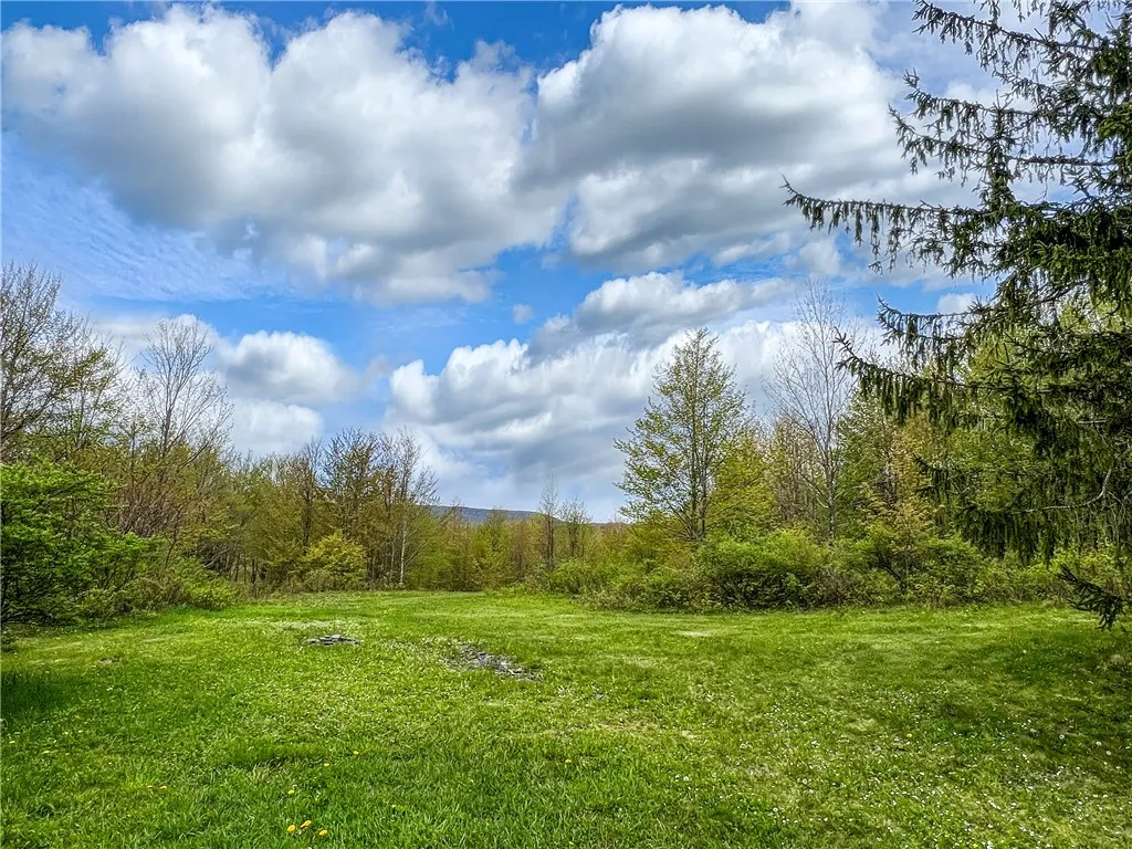 0 State Route 28, Andes, New York 13731, Andes, New York 13731, ,Land,For Sale,0 State Route 28, Andes, New York 13731,0,R1539126
