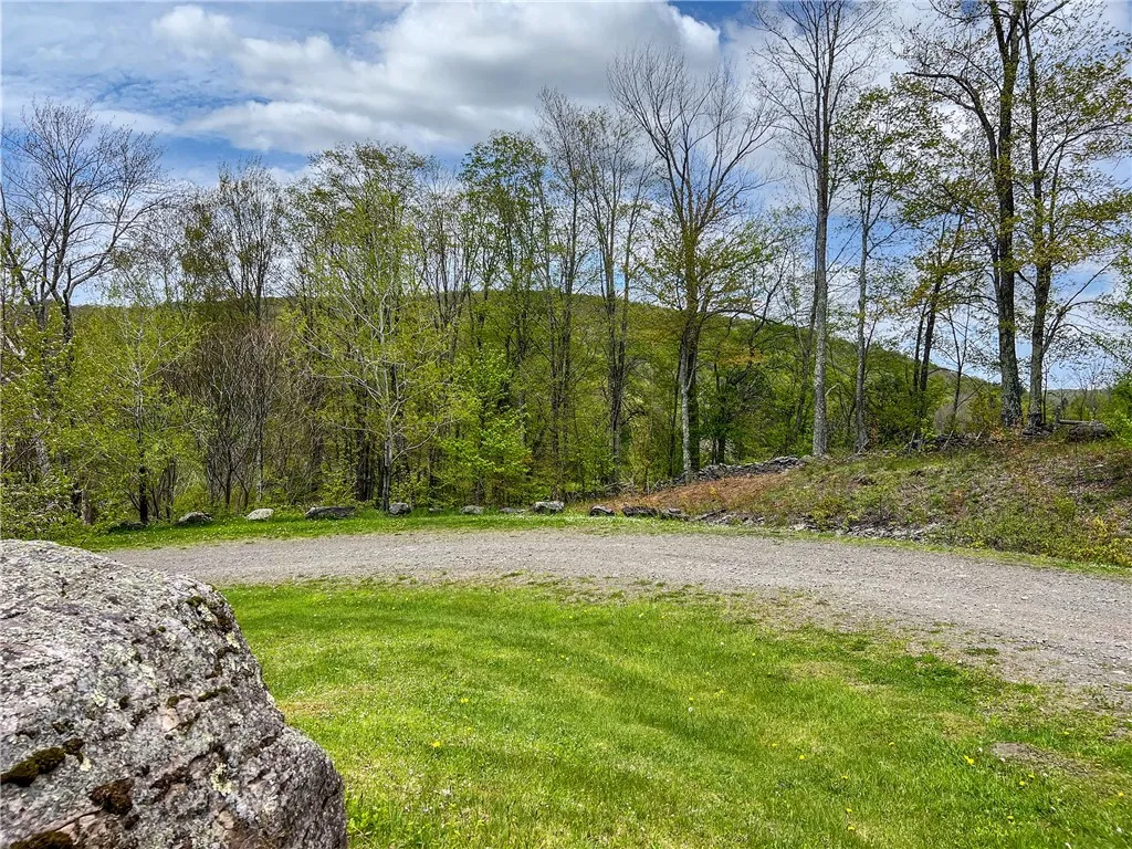 0 State Route 28, Andes, New York 13731, Andes, New York 13731, ,Land,For Sale,0 State Route 28, Andes, New York 13731,0,R1539126