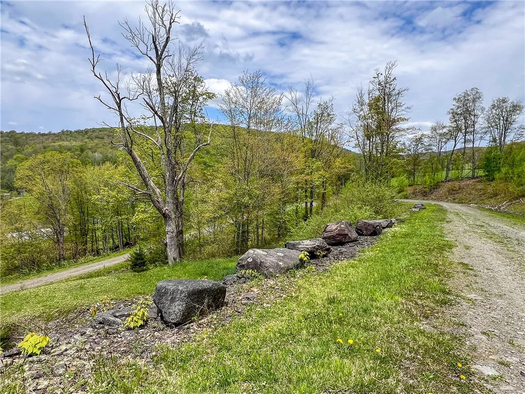 0 State Route 28, Andes, New York 13731, Andes, New York 13731, ,Land,For Sale,0 State Route 28, Andes, New York 13731,0,R1539126
