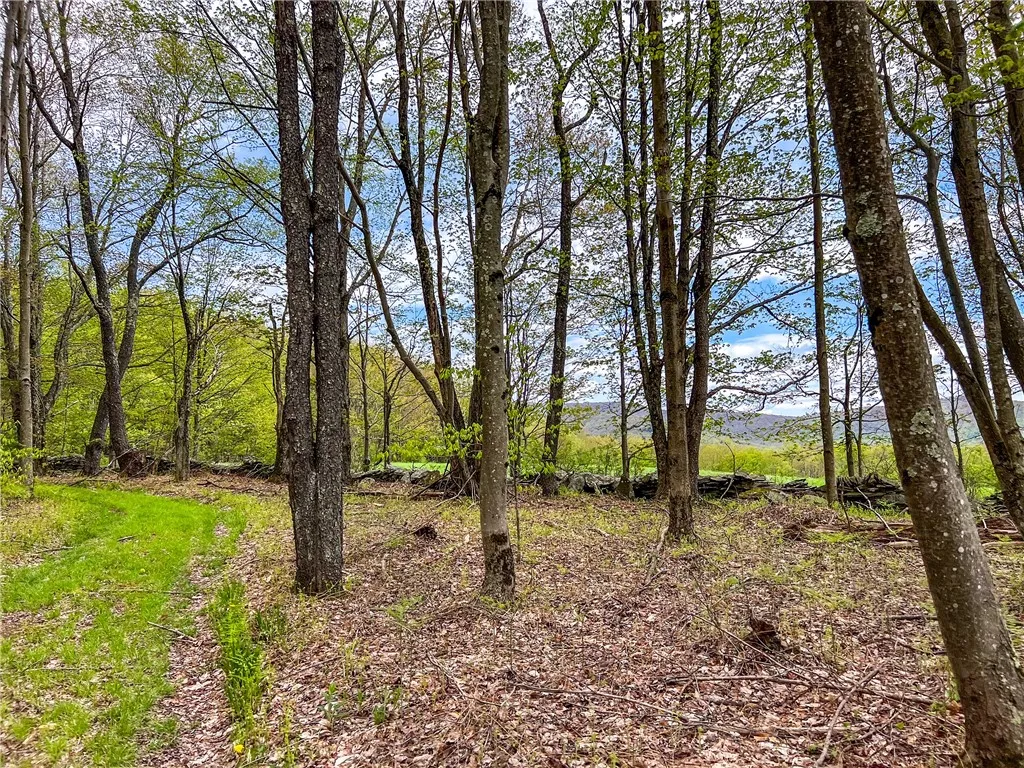 0 State Route 28, Andes, New York 13731, Andes, New York 13731, ,Land,For Sale,0 State Route 28, Andes, New York 13731,0,R1539126
