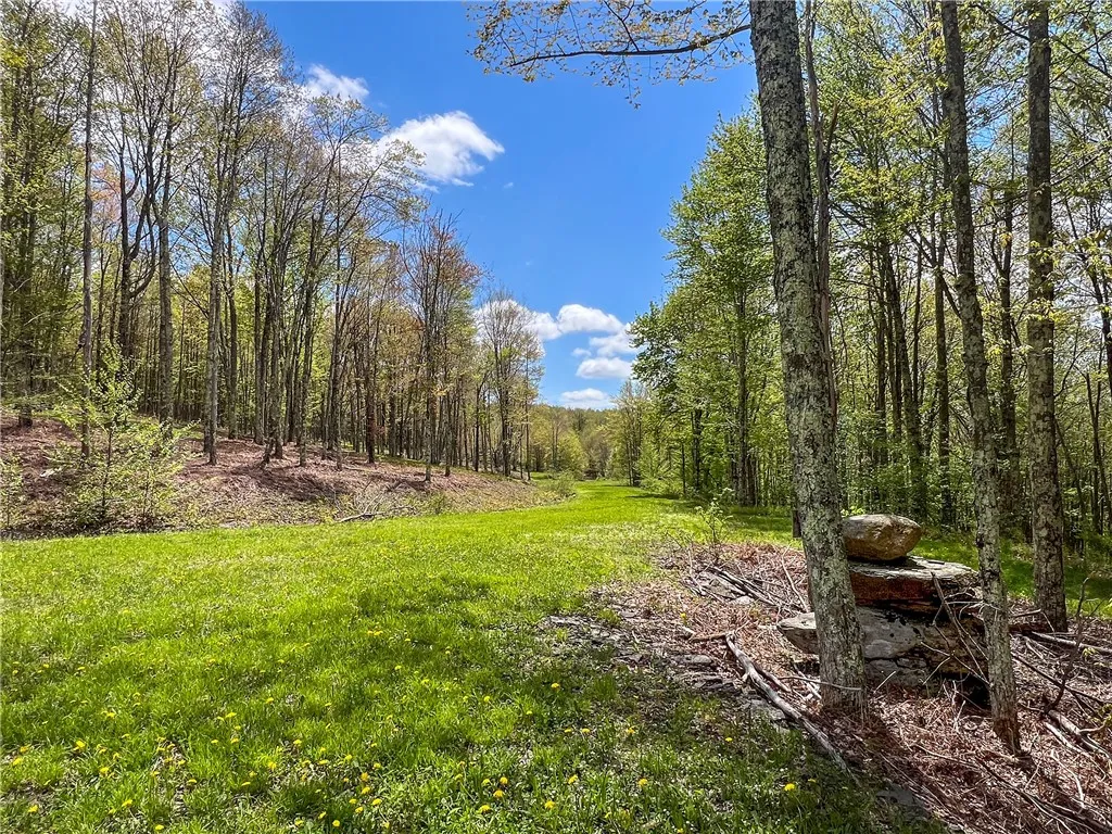 0 State Route 28, Andes, New York 13731, Andes, New York 13731, ,Land,For Sale,0 State Route 28, Andes, New York 13731,0,R1539126
