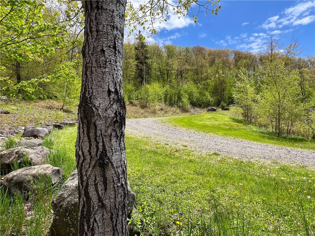 0 State Route 28, Andes, New York 13731, Andes, New York 13731, ,Land,For Sale,0 State Route 28, Andes, New York 13731,0,R1539126