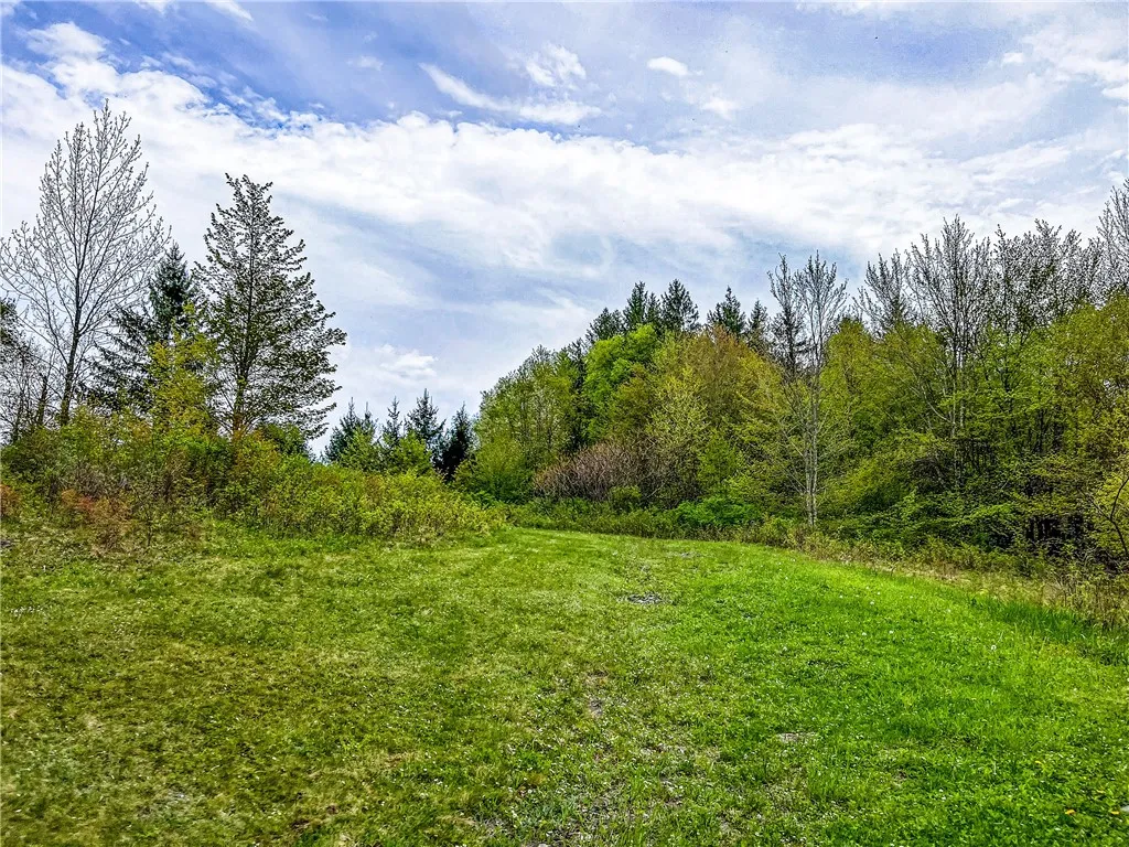 0 State Route 28, Andes, New York 13731, Andes, New York 13731, ,Land,For Sale,0 State Route 28, Andes, New York 13731,0,R1539126