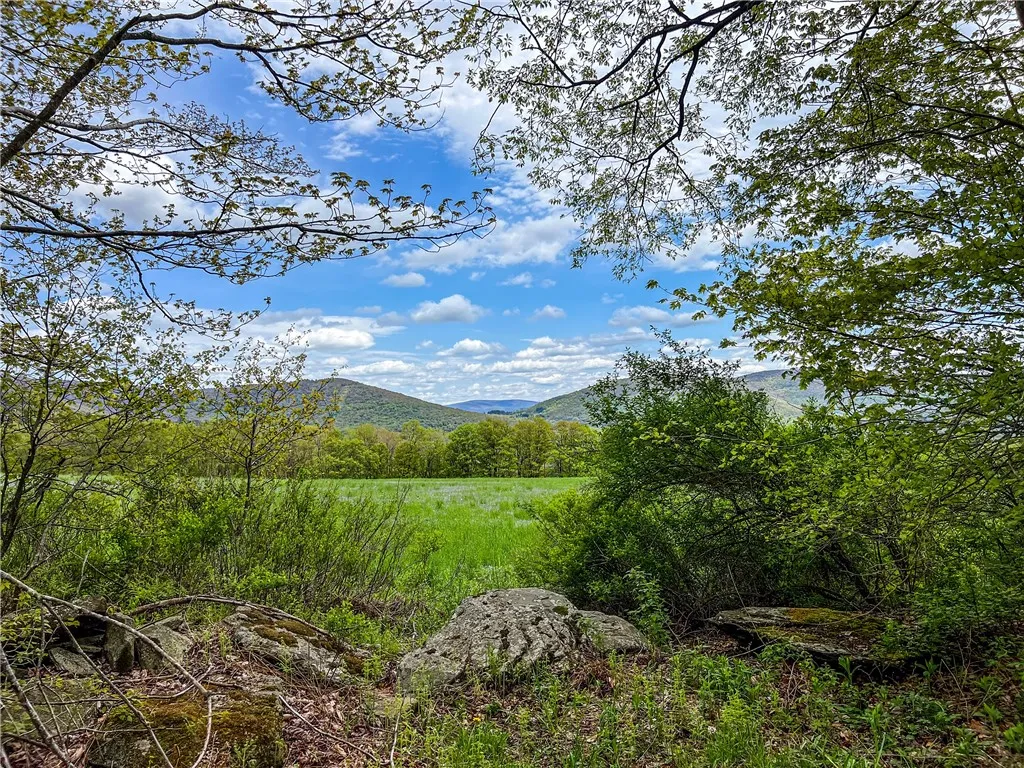 0 State Route 28, Andes, New York 13731, Andes, New York 13731, ,Land,For Sale,0 State Route 28, Andes, New York 13731,0,R1539126