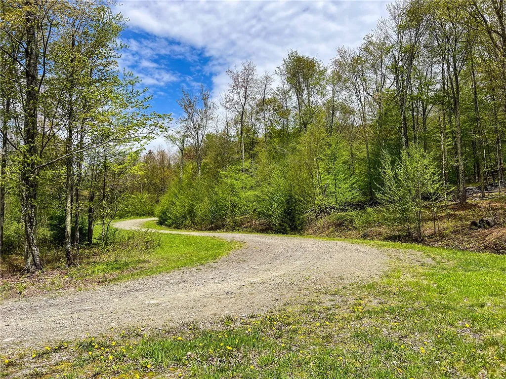 0 State Route 28, Andes, New York 13731, Andes, New York 13731, ,Land,For Sale,0 State Route 28, Andes, New York 13731,0,R1539126