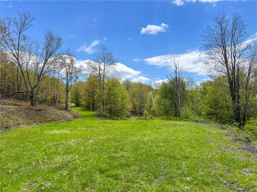 0 State Route 28, Andes, New York 13731, Andes, New York 13731, ,Land,For Sale,0 State Route 28, Andes, New York 13731,0,R1539126