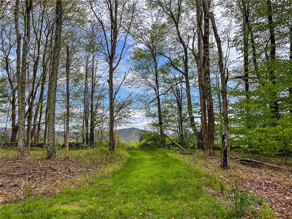 0 State Route 28, Andes, New York 13731, Andes, New York 13731, ,Land,For Sale,0 State Route 28, Andes, New York 13731,0,R1539126