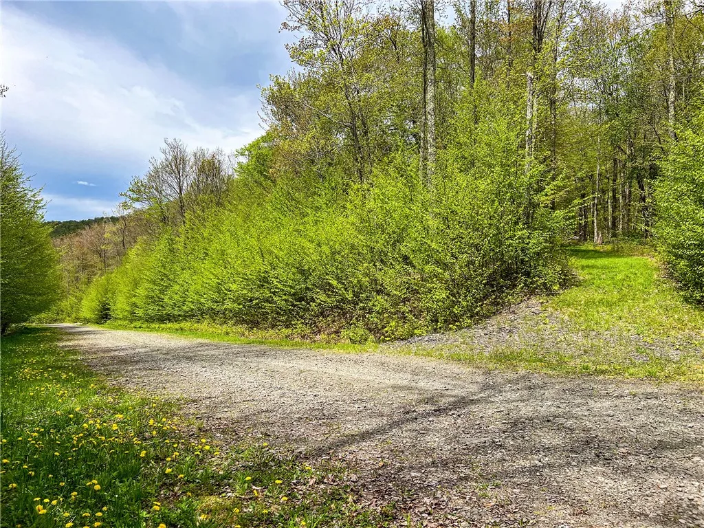 0 State Route 28, Andes, New York 13731, Andes, New York 13731, ,Land,For Sale,0 State Route 28, Andes, New York 13731,0,R1539126