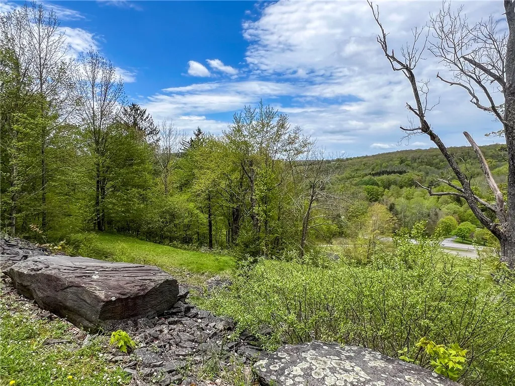 0 State Route 28, Andes, New York 13731, Andes, New York 13731, ,Land,For Sale,0 State Route 28, Andes, New York 13731,0,R1539126