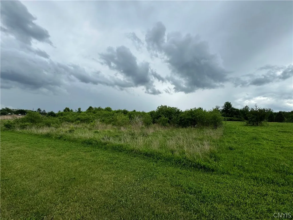 L11 Medical Center Drive, Manlius, New York 13066, Manlius, New York 13066, ,Land,For Sale,L11 Medical Center Drive, Manlius, New York 13066,0,S1541453