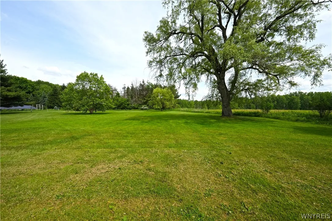 6215 Bunting Road, Orchard Park, New York 14127, Orchard Park, New York 14127, 4 Bedrooms Bedrooms, 13 Rooms Rooms,2 BathroomsBathrooms,Residential,Closed,6215 Bunting Road, Orchard Park, New York 14127,0,B1543253