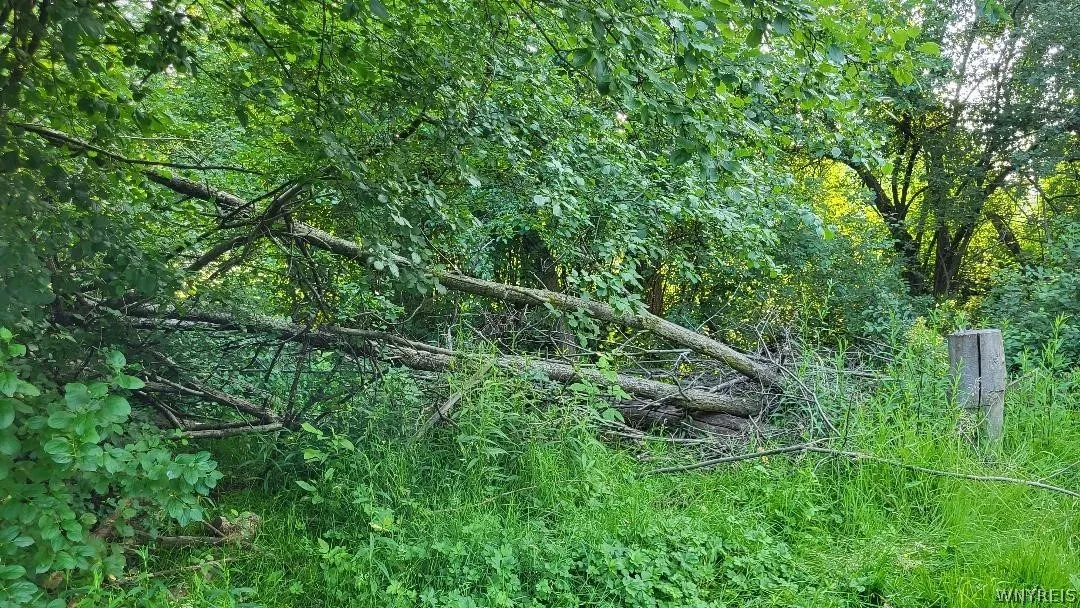 3209 Durham Road, Hamburg, New York 14075, Hamburg, New York 14075, ,Land,For Sale,3209 Durham Road, Hamburg, New York 14075,0,B1546787