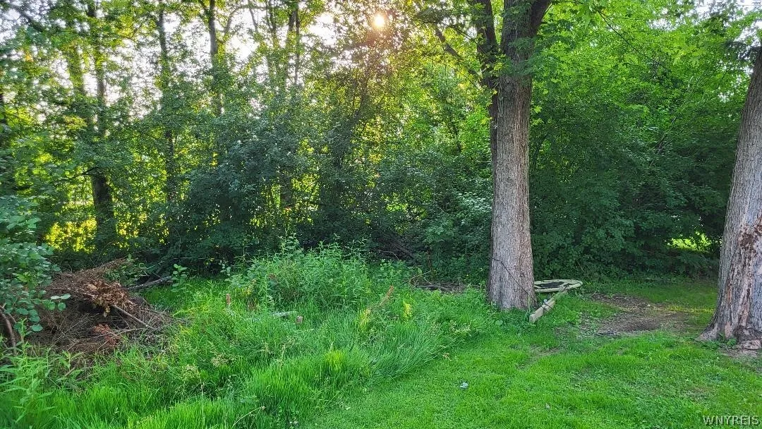 3209 Durham Road, Hamburg, New York 14075, Hamburg, New York 14075, ,Land,For Sale,3209 Durham Road, Hamburg, New York 14075,0,B1546787