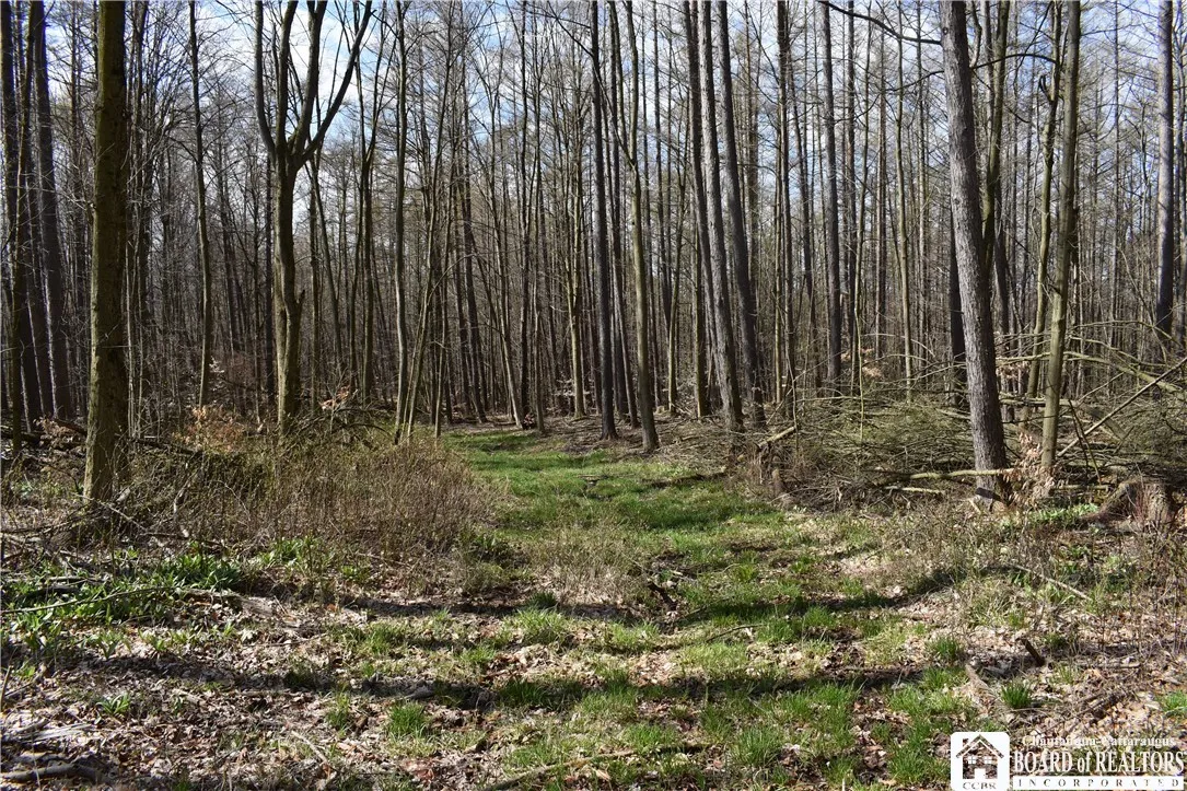 2780 Buffalo Road, Orangeville, New York 14167, Orangeville, New York 14167, ,Land,For Sale,2780 Buffalo Road, Orangeville, New York 14167,R1547804