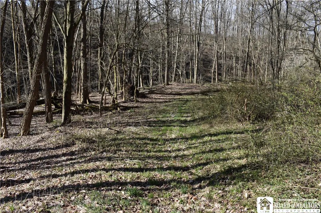 2780 Buffalo Road, Orangeville, New York 14167, Orangeville, New York 14167, ,Land,For Sale,2780 Buffalo Road, Orangeville, New York 14167,R1547804
