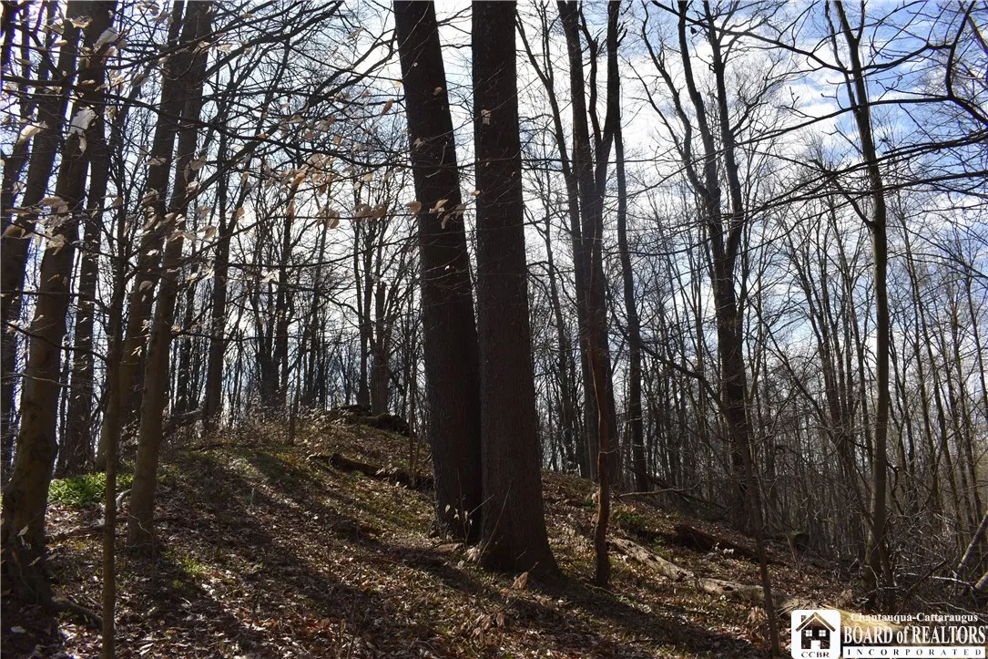 2780 Buffalo Road, Orangeville, New York 14167, Orangeville, New York 14167, ,Land,For Sale,2780 Buffalo Road, Orangeville, New York 14167,R1547804