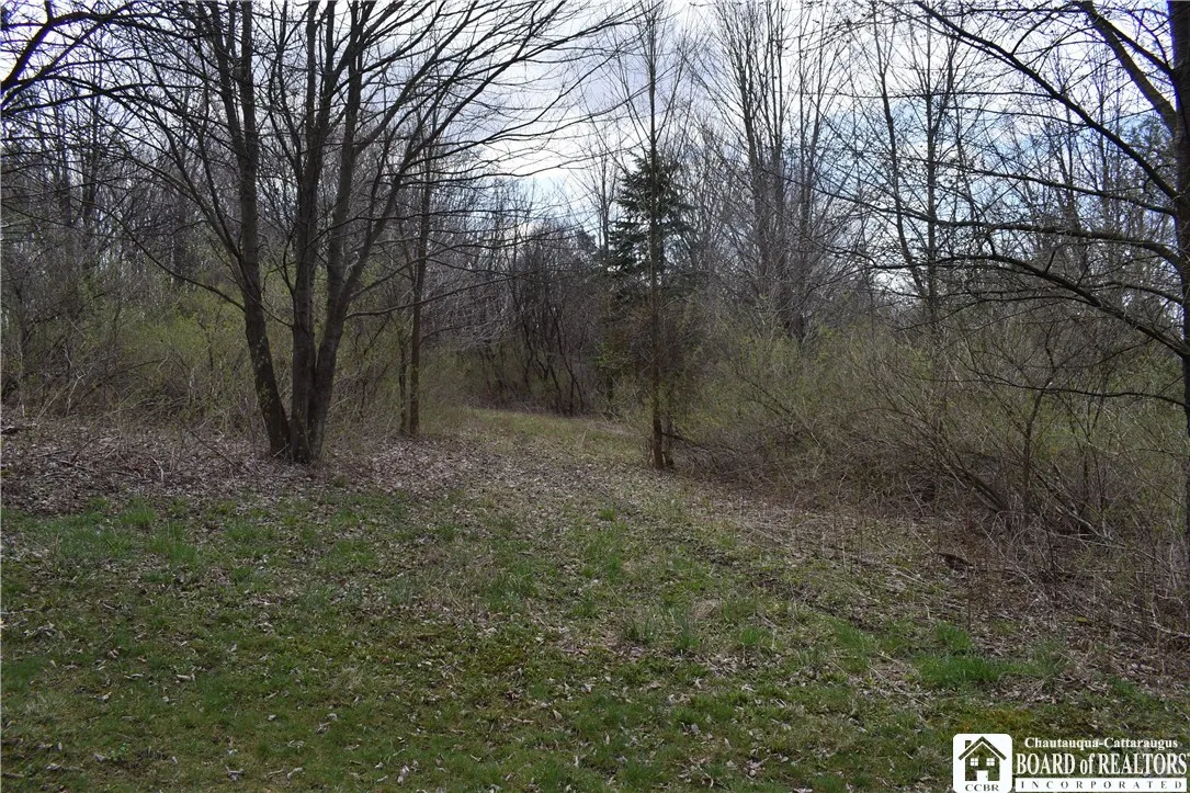 2780 Buffalo Road, Orangeville, New York 14167, Orangeville, New York 14167, ,Land,For Sale,2780 Buffalo Road, Orangeville, New York 14167,R1547804