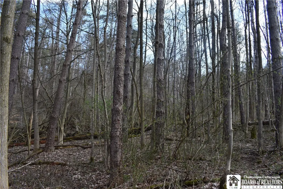 2780 Buffalo Road, Orangeville, New York 14167, Orangeville, New York 14167, ,Land,For Sale,2780 Buffalo Road, Orangeville, New York 14167,R1547804