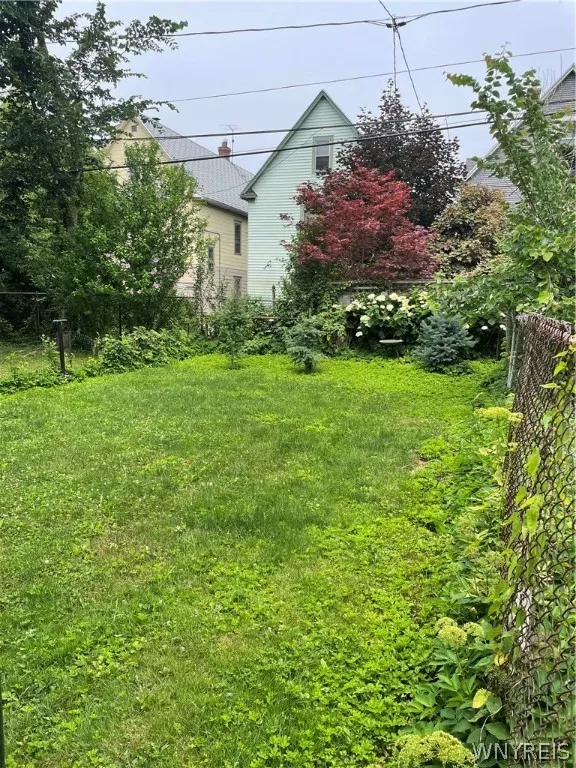 Back yard