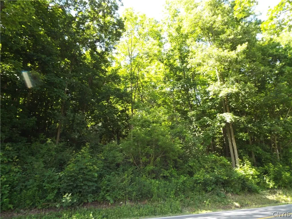 0 Co Rte 11, Clayton, New York 13624, Clayton, New York 13624, ,Land,For Sale,0 Co Rte 11, Clayton, New York 13624,0,S1551436