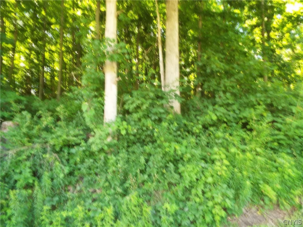 0 Co Rte 11, Clayton, New York 13624, Clayton, New York 13624, ,Land,For Sale,0 Co Rte 11, Clayton, New York 13624,0,S1551436