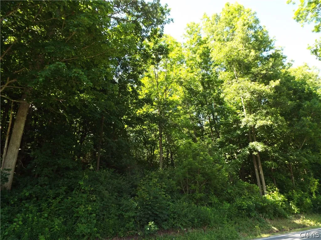 0 Co Rte 11, Clayton, New York 13624, Clayton, New York 13624, ,Land,For Sale,0 Co Rte 11, Clayton, New York 13624,0,S1551436