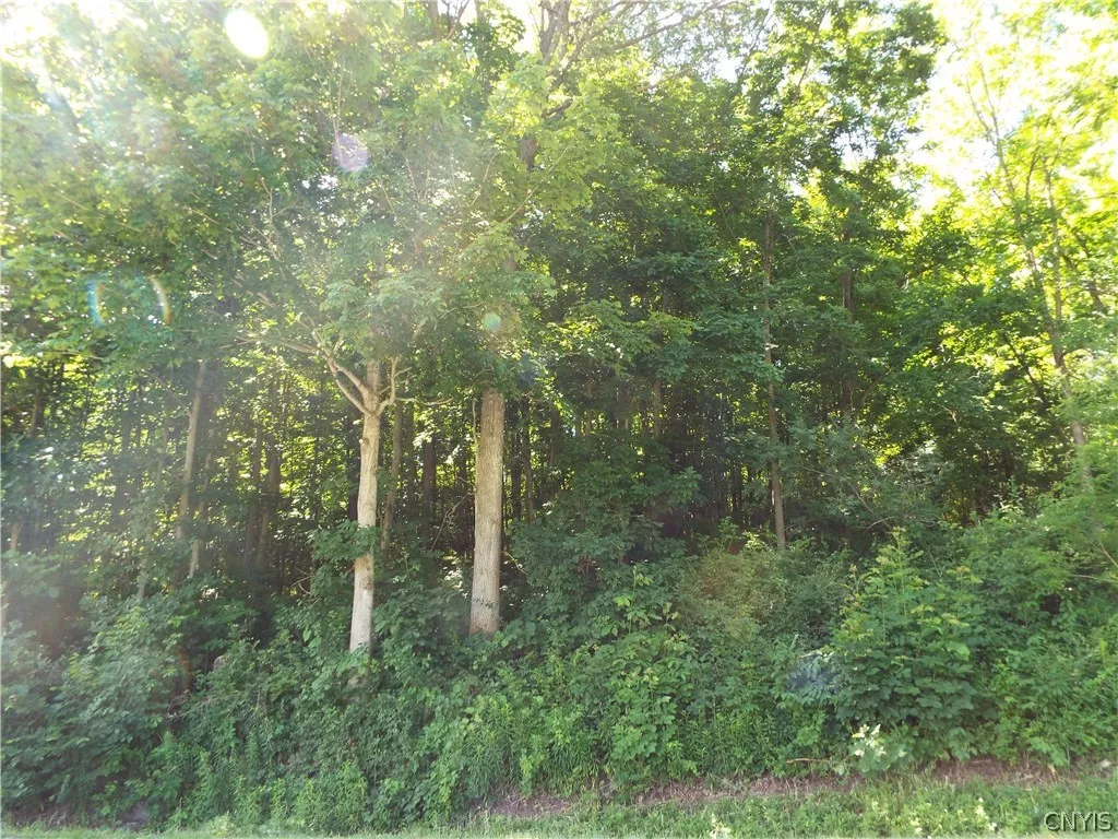 0 Co Rte 11, Clayton, New York 13624, Clayton, New York 13624, ,Land,For Sale,0 Co Rte 11, Clayton, New York 13624,0,S1551436