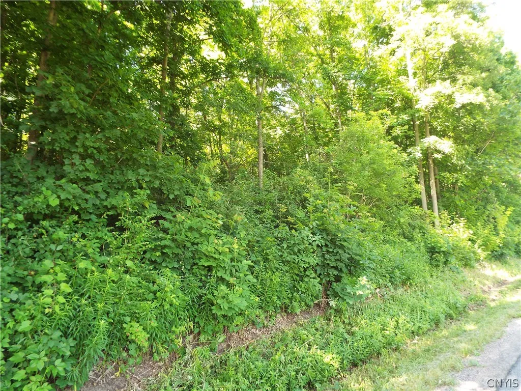 0 Co Rte 11, Clayton, New York 13624, Clayton, New York 13624, ,Land,For Sale,0 Co Rte 11, Clayton, New York 13624,0,S1551436