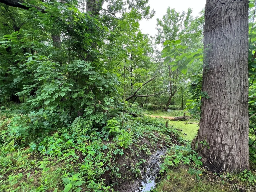 5861 Goodrich Road 7c, Clarence, New York 14032, Clarence, New York 14032, 2 Bedrooms Bedrooms, 5 Rooms Rooms,2 BathroomsBathrooms,Residential,Closed,5861 Goodrich Road 7c, Clarence, New York 14032,0,B1552552