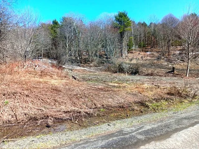 708 Smokey Avenue, Maryland, New York 12155, Maryland, New York 12155, ,Land,For Sale,708 Smokey Avenue, Maryland, New York 12155,0,R1552964