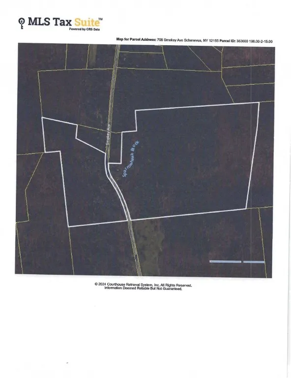708 Smokey Avenue, Maryland, New York 12155, Maryland, New York 12155, ,Land,For Sale,708 Smokey Avenue, Maryland, New York 12155,R1552964