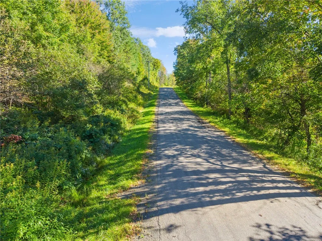 708 Smokey Avenue, Maryland, New York 12155, Maryland, New York 12155, ,Land,For Sale,708 Smokey Avenue, Maryland, New York 12155,0,R1552964