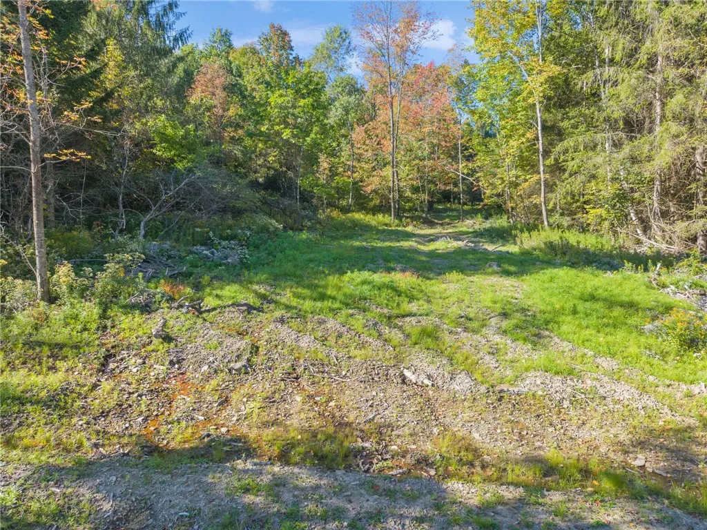 708 Smokey Avenue, Maryland, New York 12155, Maryland, New York 12155, ,Land,For Sale,708 Smokey Avenue, Maryland, New York 12155,0,R1552964