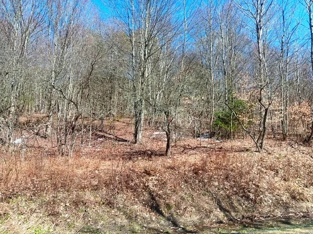 708 Smokey Avenue, Maryland, New York 12155, Maryland, New York 12155, ,Land,For Sale,708 Smokey Avenue, Maryland, New York 12155,0,R1552964