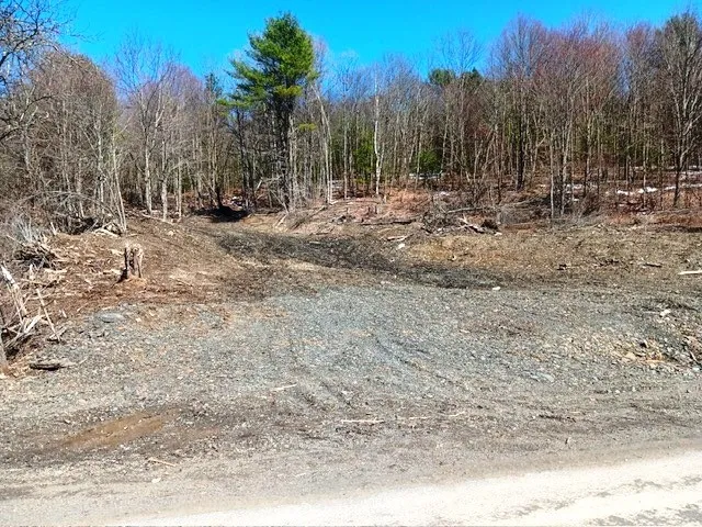 708 Smokey Avenue, Maryland, New York 12155, Maryland, New York 12155, ,Land,For Sale,708 Smokey Avenue, Maryland, New York 12155,0,R1552964