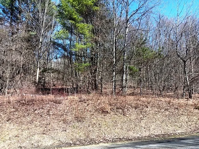 708 Smokey Avenue, Maryland, New York 12155, Maryland, New York 12155, ,Land,For Sale,708 Smokey Avenue, Maryland, New York 12155,0,R1552964