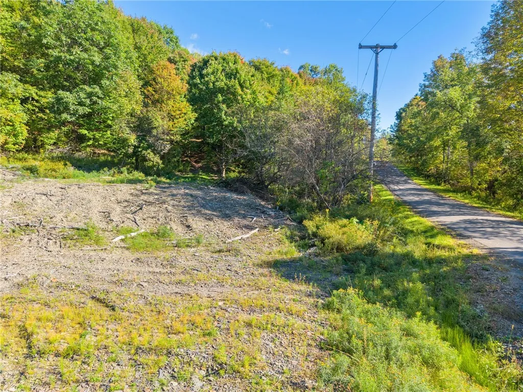 708 Smokey Avenue, Maryland, New York 12155, Maryland, New York 12155, ,Land,For Sale,708 Smokey Avenue, Maryland, New York 12155,0,R1552964