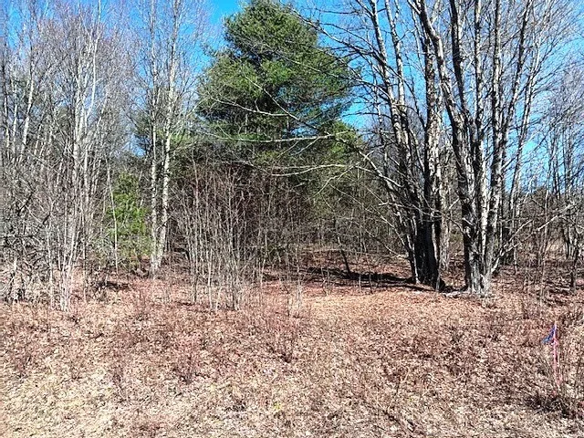 708 Smokey Avenue, Maryland, New York 12155, Maryland, New York 12155, ,Land,For Sale,708 Smokey Avenue, Maryland, New York 12155,0,R1552964