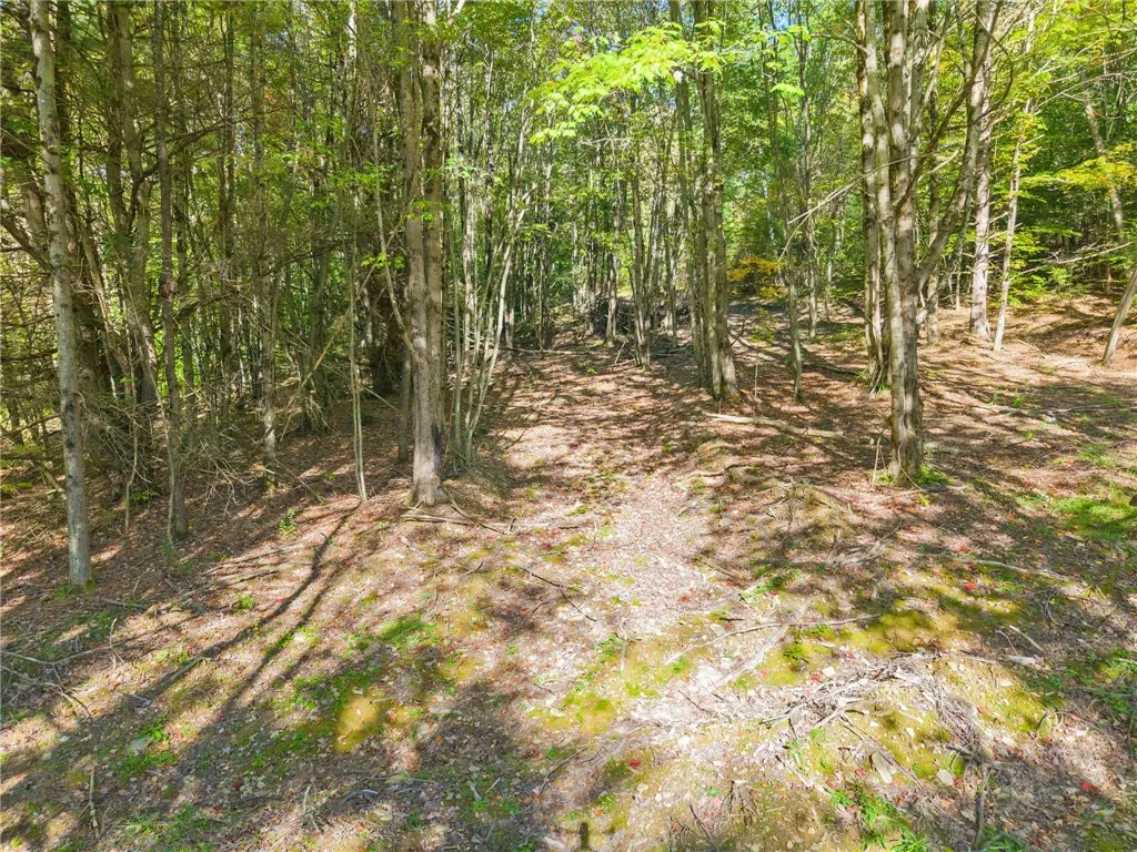 708 Smokey Avenue, Maryland, New York 12155, Maryland, New York 12155, ,Land,For Sale,708 Smokey Avenue, Maryland, New York 12155,0,R1552964