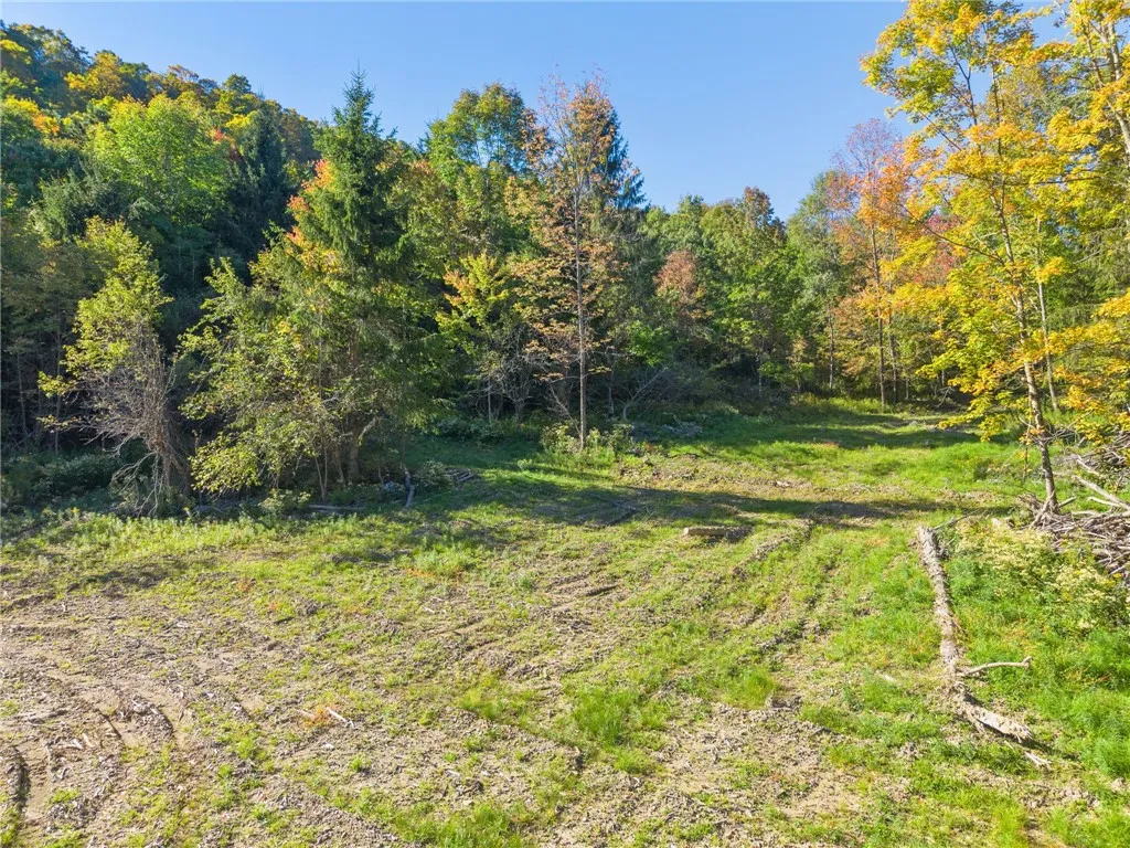 708 Smokey Avenue, Maryland, New York 12155, Maryland, New York 12155, ,Land,For Sale,708 Smokey Avenue, Maryland, New York 12155,0,R1552964