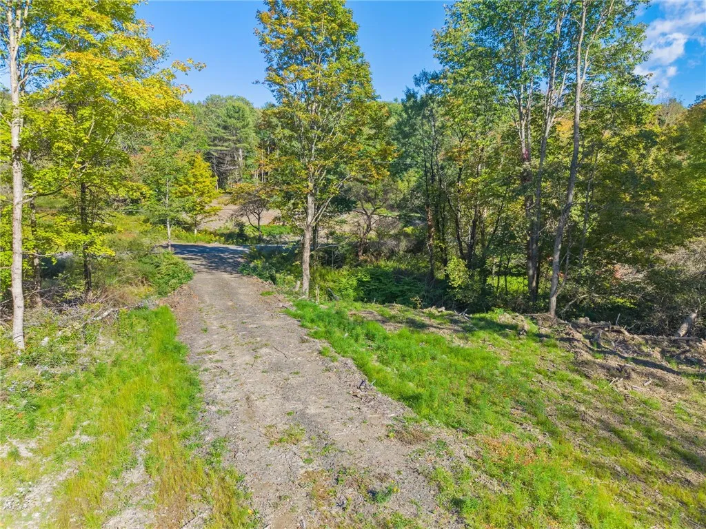 708 Smokey Avenue, Maryland, New York 12155, Maryland, New York 12155, ,Land,For Sale,708 Smokey Avenue, Maryland, New York 12155,0,R1552964