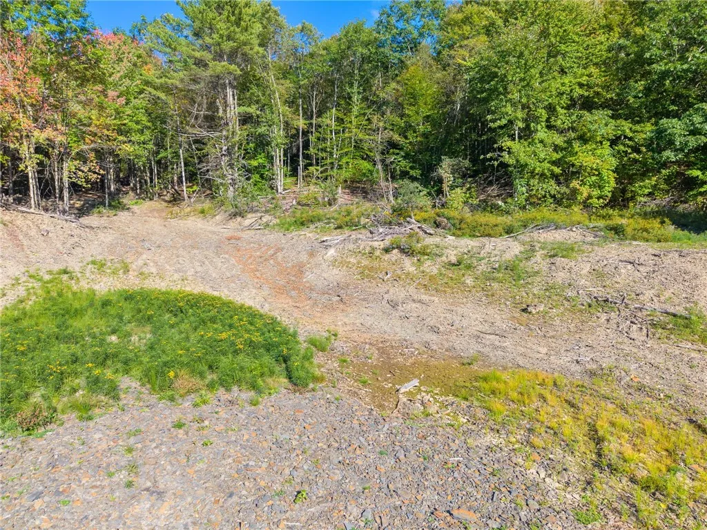 708 Smokey Avenue, Maryland, New York 12155, Maryland, New York 12155, ,Land,For Sale,708 Smokey Avenue, Maryland, New York 12155,0,R1552964