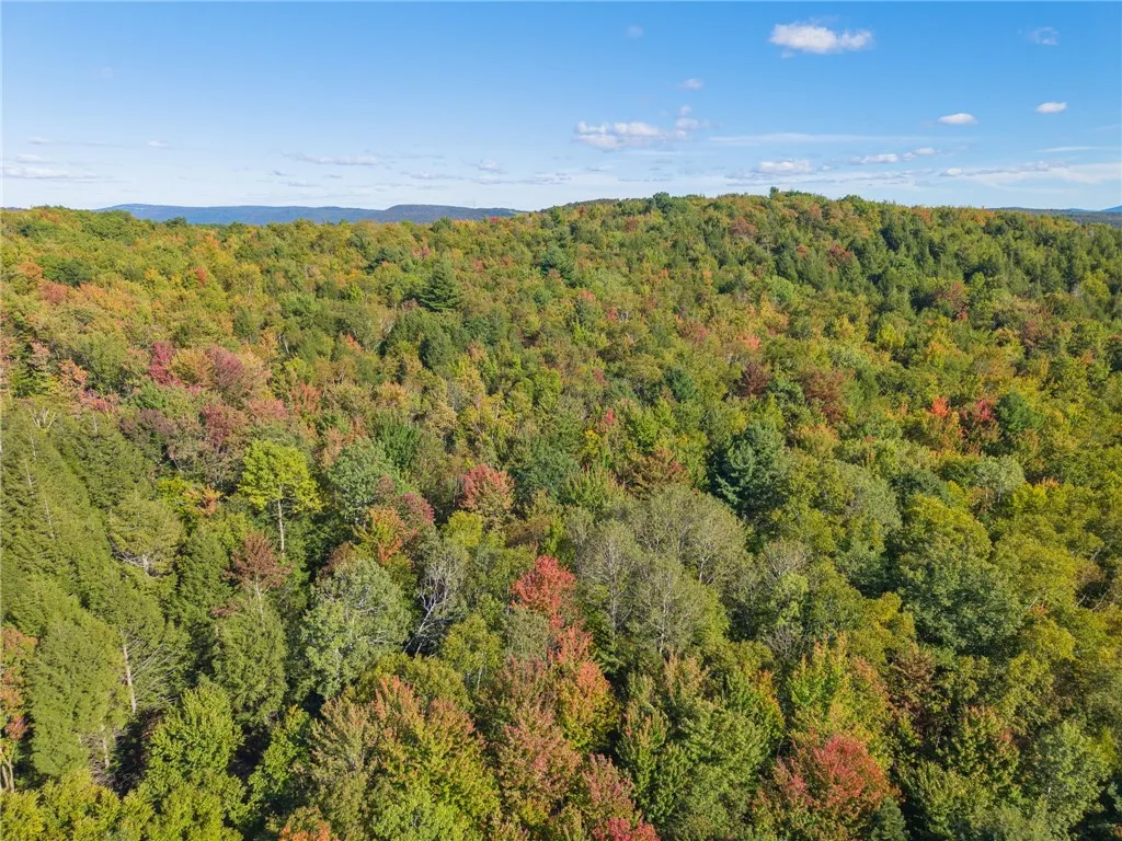 708 Smokey Avenue, Maryland, New York 12155, Maryland, New York 12155, ,Land,For Sale,708 Smokey Avenue, Maryland, New York 12155,0,R1552964