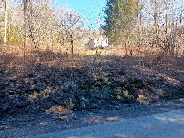 708 Smokey Avenue, Maryland, New York 12155, Maryland, New York 12155, ,Land,For Sale,708 Smokey Avenue, Maryland, New York 12155,0,R1552964